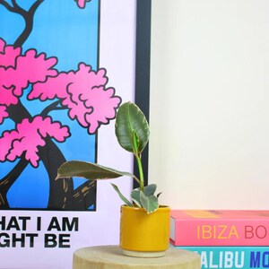 May include: A small variegated rubber plant with dark green and cream-coloured leaves potted in a cylindrical mustard yellow ceramic planter with a white base, resting on a light-coloured wooden stool with three short legs.