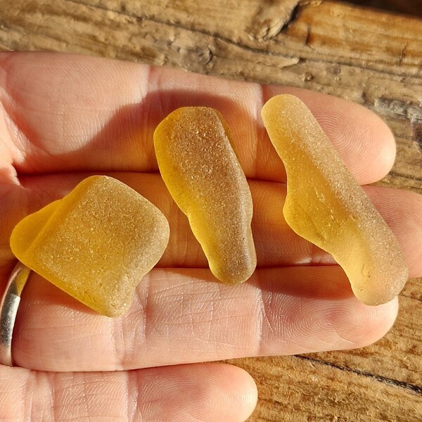 TRIO OF YELLOWS | Rare Beach Glass | Scottish Sea Glass | Jewelry Supplies | Scottish Beach Finds (11222)