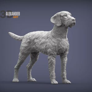 May include: A light grey sculpture of a dog in a standing position. The dog has a textured coat, floppy ears, and a long tail. The sculpture is set against a muted blue background. The text "3 ALEXANDER ART" is in the upper left corner.