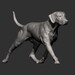 Rhodesian Ridgeback Figurine 3D Printed Dog Statue – Personalized Pet ...