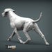 Rhodesian Ridgeback Figurine 3D Printed Dog Statue – Personalized Pet ...