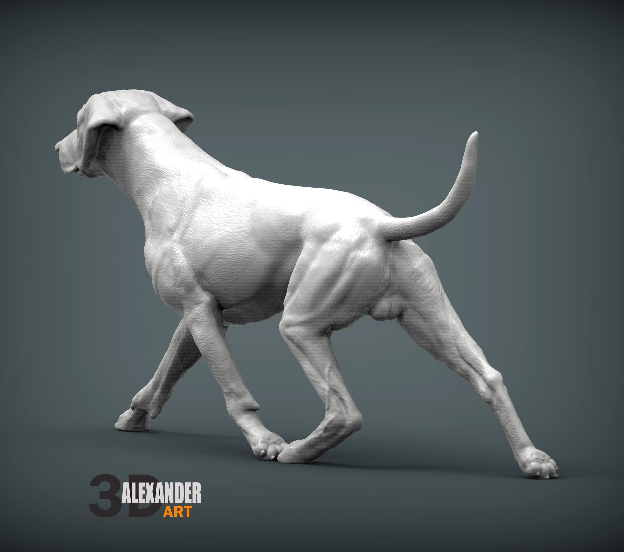 Rhodesian Ridgeback Figurine 3D Printed Dog Statue – Personalized Pet ...