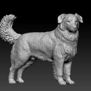3D Printed Australian Shepherd Statue, Gift For Dog Lovers, Memorial Sculpture, DIY Paint Ornament, Personalized Painted Figurine, Cake Top