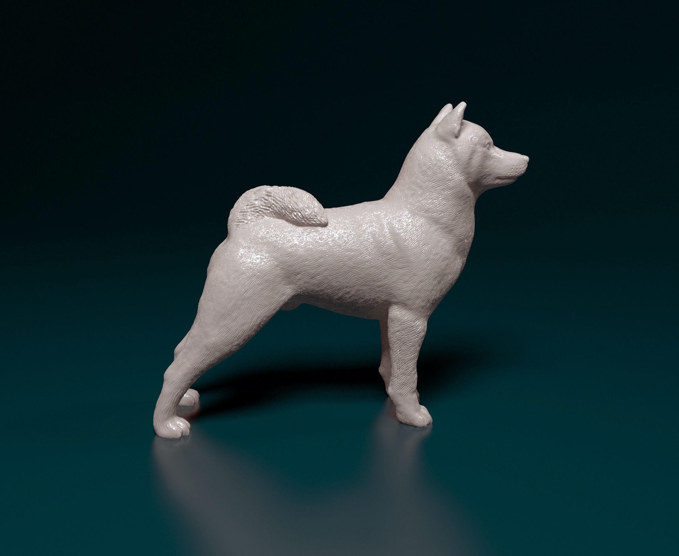 Crypto Coin Cryptocurrency Amazon Shiba Inu Dogecoin Doge Figurine – 3D  Printed Crypto Shiba Inu Statue – Handmade
