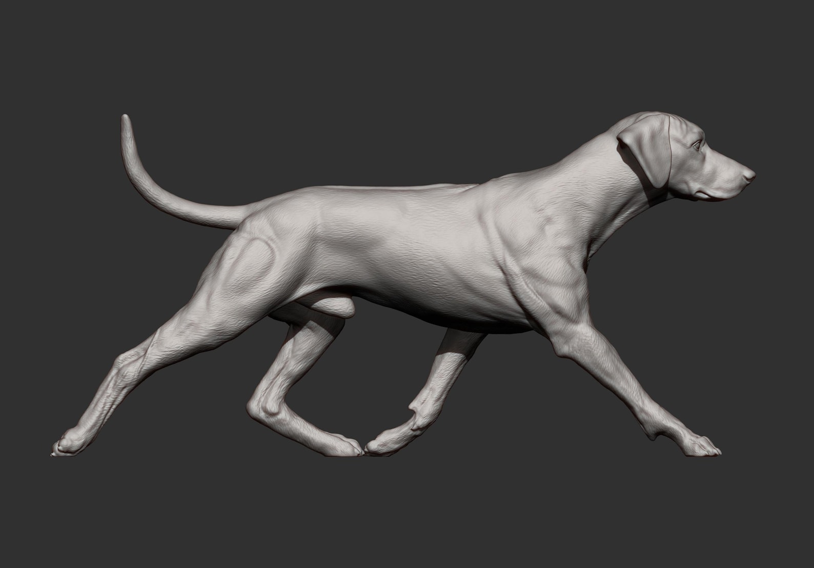 Rhodesian Ridgeback Figurine 3D Printed Dog Statue – Personalized Pet ...