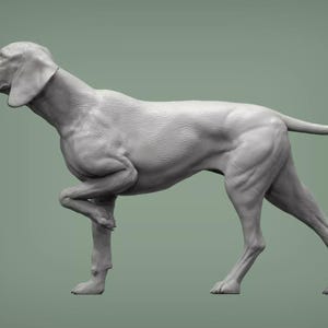 May include: A light gray sculpture of a dog in a poised stance, with one front leg raised. The dog has a slender build, with visible muscle definition. The background is a solid, muted green.