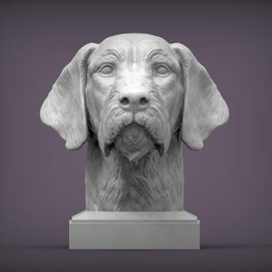 May include: A detailed, grey sculpture of a dog's head and upper chest. The dog has long, floppy ears and a long snout with a prominent beard. The sculpture is mounted on a rectangular base, set against a muted purple background.