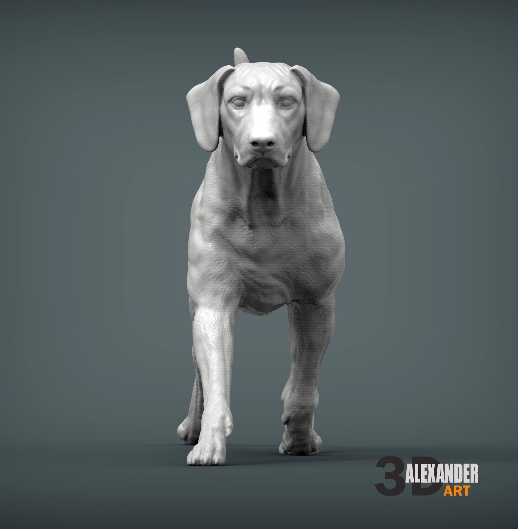 Rhodesian Ridgeback Figurine 3D Printed Dog Statue – Personalized Pet ...