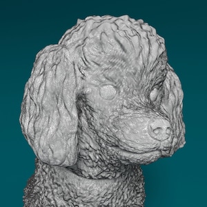3D Printed  Toy Poodle sitting dog Figurine – Dog Lover Gift, Pet Memorial, Bulldog Decor, Cute Puppy Statue, Home Decor