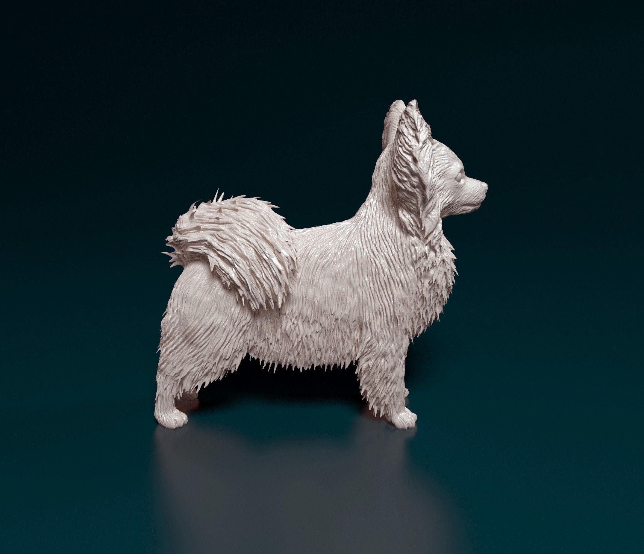 Sandicast dogs - Etsy 日本
