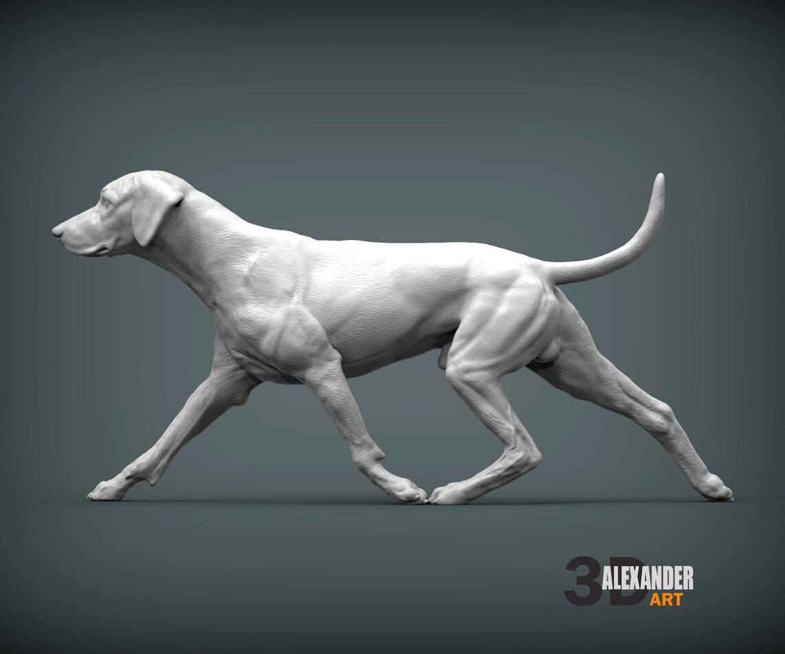 Rhodesian Ridgeback Figurine 3D Printed Dog Statue – Personalized Pet ...