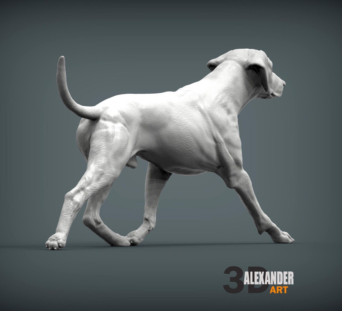 Rhodesian Ridgeback Figurine 3D Printed Dog Statue – Personalized Pet ...