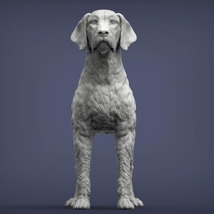 May include: A monochrome sculpture of a dog, possibly a German Wirehaired Pointer, in a standing pose. The sculpture has a textured surface, resembling fur, and features detailed facial characteristics, such as drooping ears and a pronounced snout. The background is a solid, muted blue.