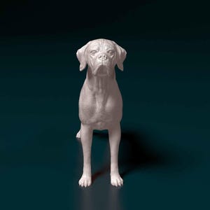 May include: A white dog statue in a seated position, with a focused expression. The sculpture has detailed features, including visible wrinkles and folds. The dog's ears are floppy, and its gaze is directed forward. The background is a dark teal colour.
