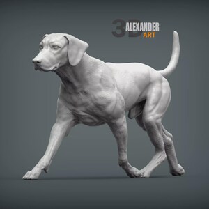 Rhodesian Ridgeback Figurine 3D Printed Dog Statue – Personalized Pet ...
