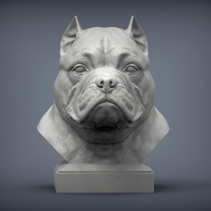 Könnte beinhalten: Graustufen-Büste eines Hundes, vermutlich ein Pitbull, mit ernstem Gesichtsausdruck. Die Skulptur steht auf einem rechteckigen Sockel vor grauem Hintergrund. Die Merkmale des Hundes sind detailliert und betonen seine muskulöse Statur.