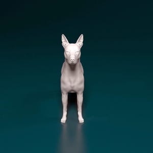 3D Printed  Xoloitzcuintle dog  Figurine – Dog Lover Gift, Pet Memorial, Bulldog Decor, Cute Puppy Statue, Home Decor