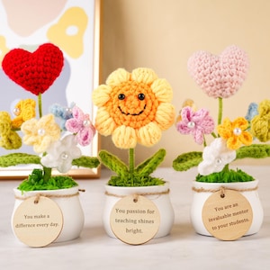 Personalized Teache Gift,Cute Crochet Sunflowers/Hearts/Rose Plants,Thank You For Helping Me Grow,Thank You Gift,Gift for Mother with Tags