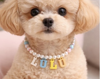 Puede incluir: Un caniche de color beige claro con pelaje rizado lleva un collar de cuentas. El collar presenta perlas blancas, rosas y azules con cuatro dijes de letras en colores pastel que deletrean el nombre LULU en blanco, azul, amarillo y naranja.