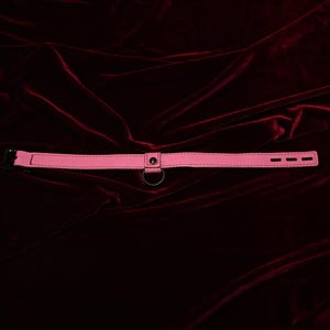 Pink Pendant Collar