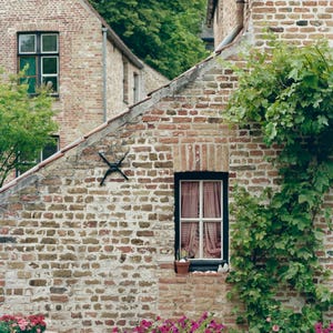 Pode incluir: Vista exterior de edifícios de tijolo com uma janela com cortinas quadriculadas. Uma floreira preta é preenchida com vibrantes flores rosa e roxas. Folhagem verde e árvores são visíveis ao fundo.