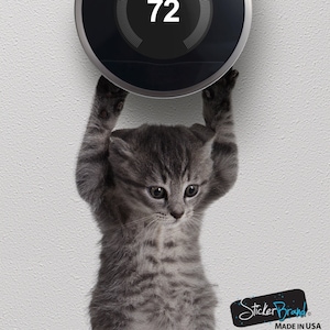 Peut inclure: Un chaton gris tient un thermostat rond noir et argent avec un écran numérique blanc affichant le chiffre 72. Le thermostat est monté sur un mur blanc. Le chaton regarde le thermostat.