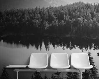 Black and White Mountain, Lake, Forest Wallpaper. Mountain Landscape Wall Mural. Living Room, Bedroom, Bathroom Wall Decor. #6671