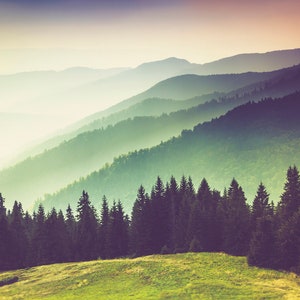 May include: A landscape view of rolling mountain ridges fading into a hazy, light-filled distance. In the foreground, a grassy meadow transitions into a dense forest of dark green coniferous trees under a soft, warm-toned sunset sky.