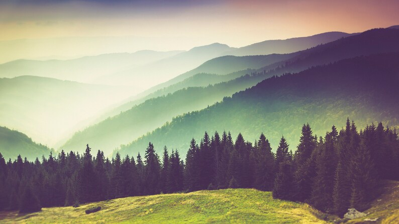 May include: A landscape view of rolling mountain ridges fading into a hazy, light-filled distance. In the foreground, a grassy meadow transitions into a dense forest of dark green coniferous trees under a soft, warm-toned sunset sky.