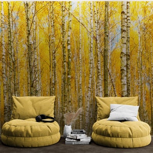 Birch Tree Forest Wallpaper. Landscape Wallpaper Peel and Stick Wall Mural Wallpaper. Self Adhesive Nursery Wall Decor. Yellow Mural.#6202