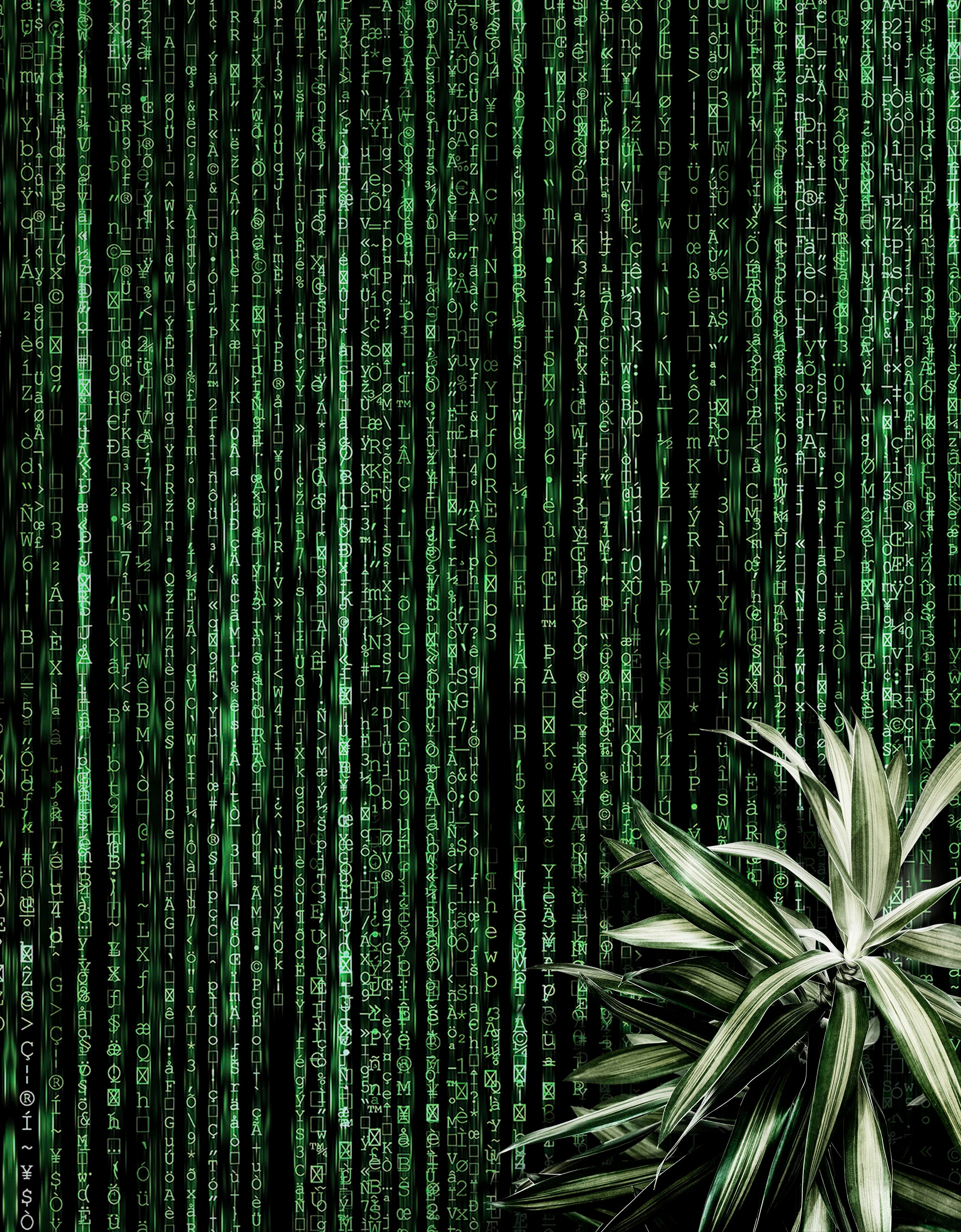 Matrix Breaking Wall Buy Computer Matrix Style Lines of Code Wall Mural Matrix Wallpaper ...