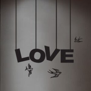 Vinyl Wall Art Decal Sticker LOVE bird Phrase Lettering 129A image 5