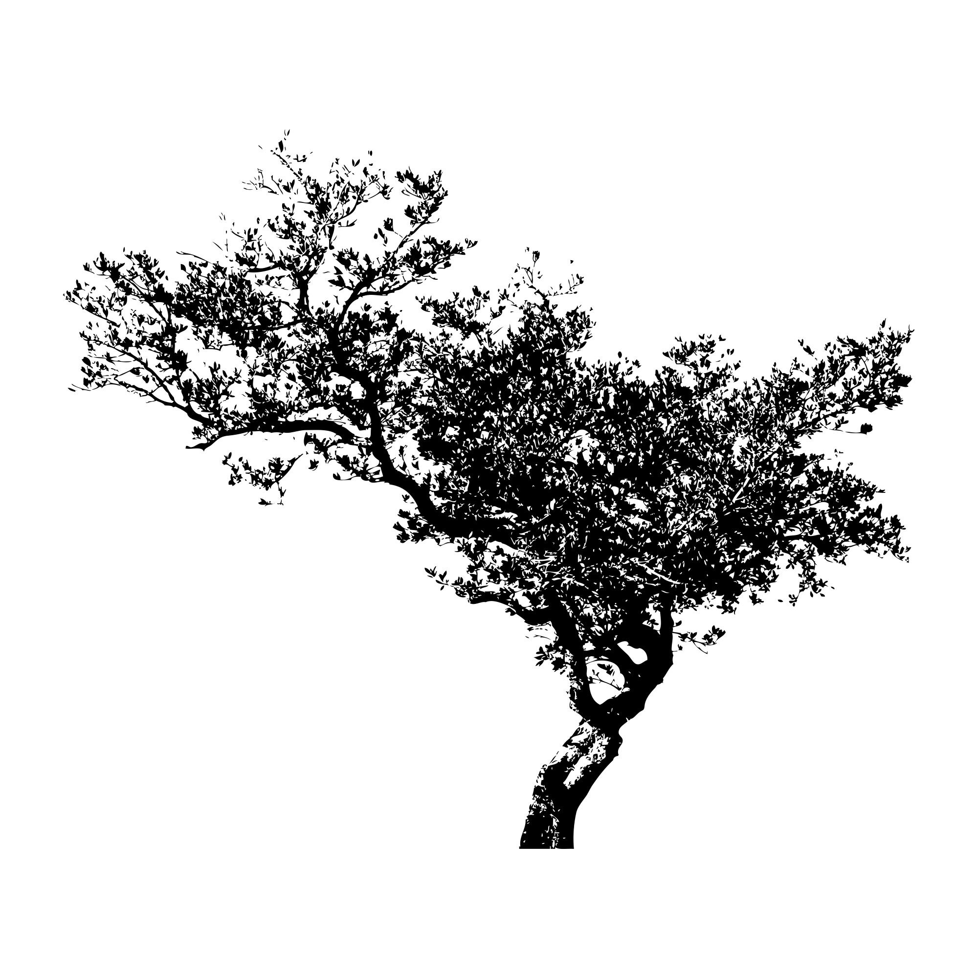 Leaning Tree Wall Decal Nursery Forest Vinyl Sticker Removable Large ...