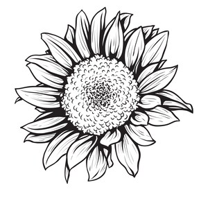 Puede incluir: Un dibujo en blanco y negro de un girasol con p&eacute;talos que irradian hacia afuera desde el centro.