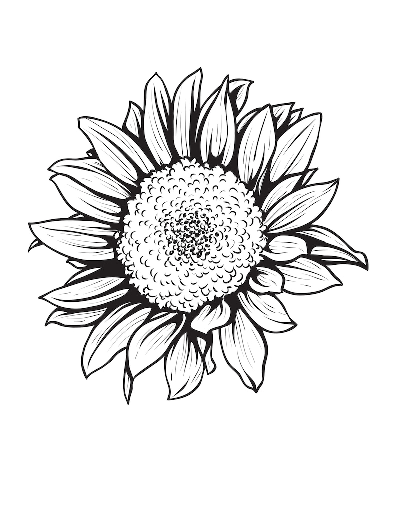 Puede incluir: Un dibujo en blanco y negro de un girasol con p&eacute;talos que irradian hacia afuera desde el centro.
