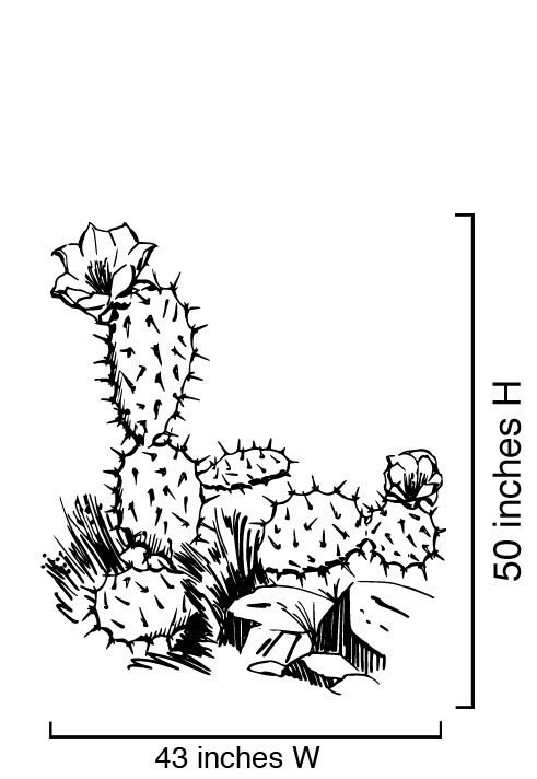 Vinyl Wall Decal Sticker Desert Cactus 236B - Etsy