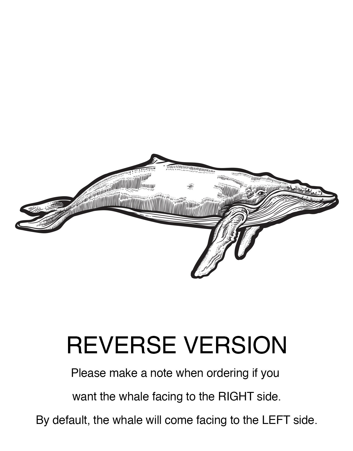 Large Humpback Whale Wall Decal Sticker. 6147 Etsy