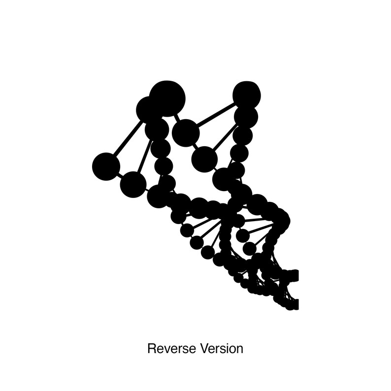 DNA Helix Vinyl Wall Decal Sticker. Science Room Wall Decor. School ...