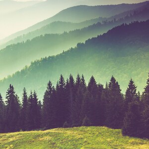 May include: A landscape view featuring a foreground of green grassy hills leading to a dense forest of dark green pine trees. In the background, multiple layers of mountain ridges fade into a soft, hazy light, creating a gradient of green tones.