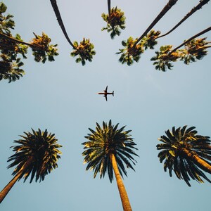 SoCal Palm Trees and Airplane Wallpaper Mural – California Sky Theme Peel and Stick Wallpaper for Modern Decor. Tropical Summer Theme. #6283