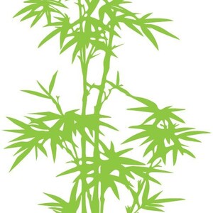 Bamboo Tree Wall Decal. Perfect for the bedroom, kitchen, nursery home decor. Custom Sizes Available. 101 image 2