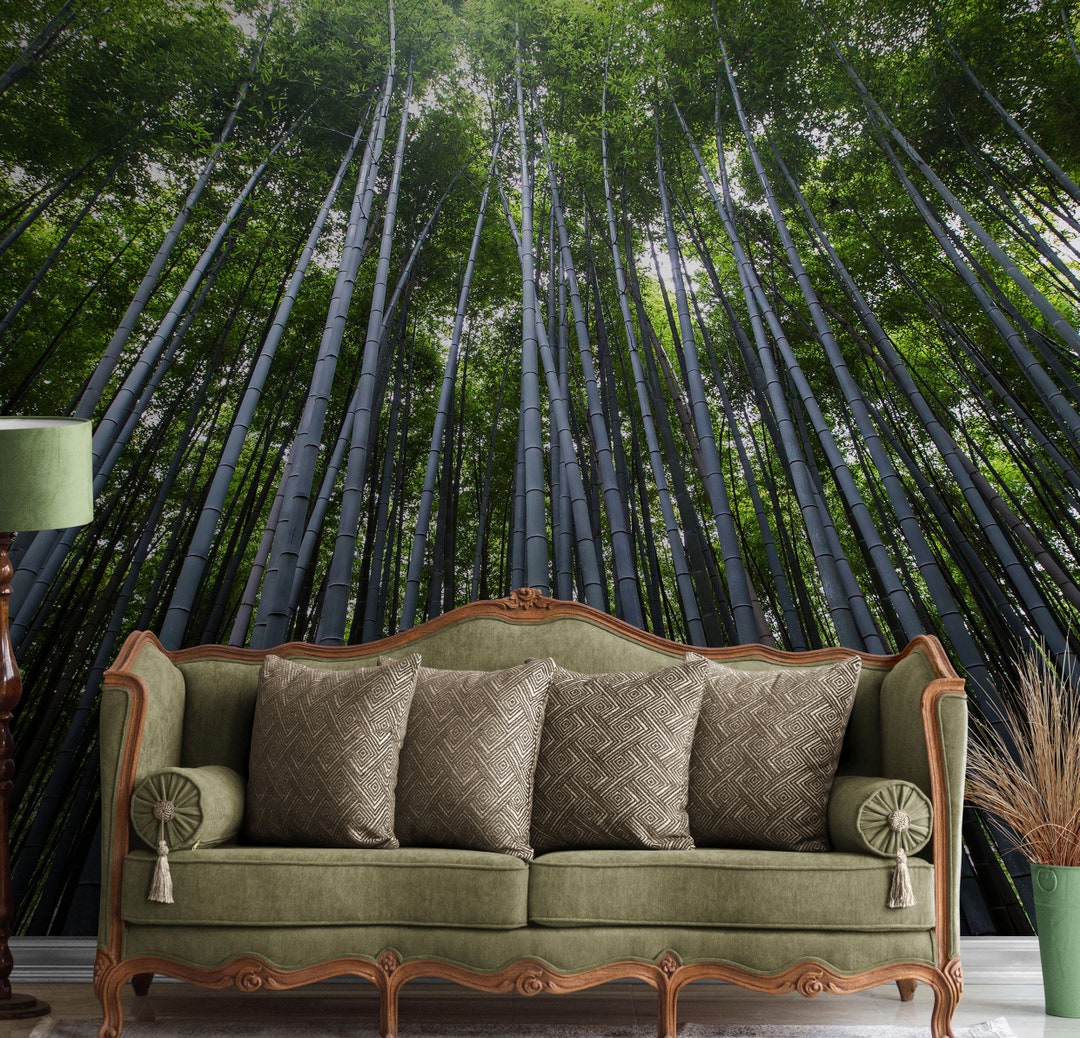 Japanese Tall Bamboo Tree Forest Wall Mural. Peaceful, Serenity, Zen ...