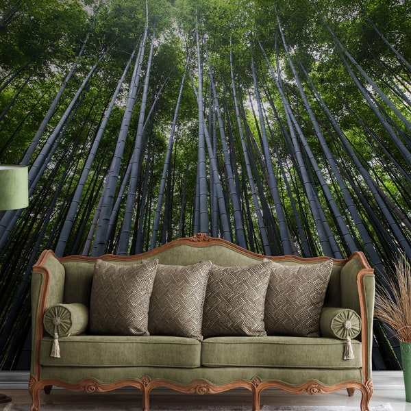 Japanese Tall Bamboo Tree Forest Wall Mural. Peaceful, Serenity, Zen Background Wallpaper. Yoga Studio / Asian Theme Wall Decor. #6463