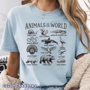 May include: Light blue t-shirt with the text "ANIMALS OF THE WORLD" and illustrations of various animals, including a snail, squirrel, and alligator. The shirt is a chambray color.