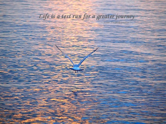 Life is A Test Run Poster, Jonathan Livingston Seagull Inspired