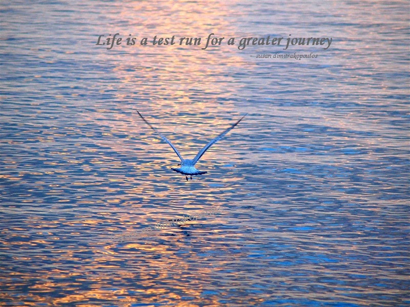 Life is A Test Run Poster, Jonathan Livingston Seagull Inspired