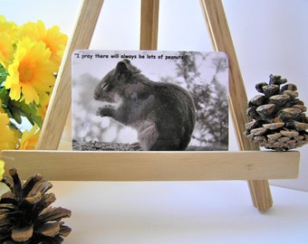 The Peanut Prayer, squirrel fridge magnet, wildlife nature grey squirrel animal lovers small gift friendship, stocking stuffer Free Shipping