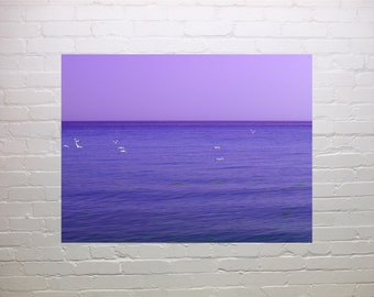 Mauve Horizon print, wall art, scenery, seagulls on lake, wall decor, inspirational art, bird photography