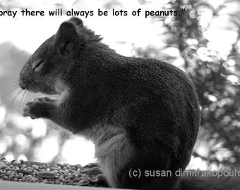 The Peanut Prayer, Squirrel greeting card, blank, write your own message, fun card, squirrel lovers, nature photo, wildlife, grey squirrel