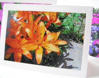 Tigers in the Shade, Stunning Orange Tiger Lilies flower blank greeting card, friendship, thinking of you, write own msg
